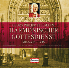 Missa Brevis